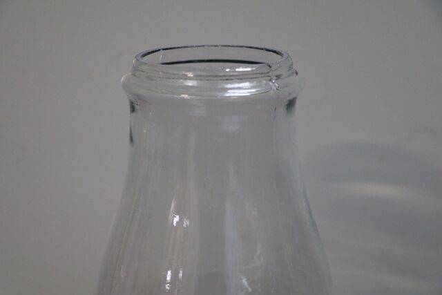 Vintage Glass Lamp Shade 
