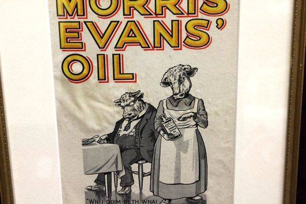 Vintage Morris Evans Oil Display Card