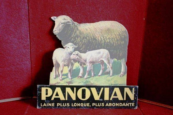  Panovian Sheep Advertising Cut Out Card Arriving Nov