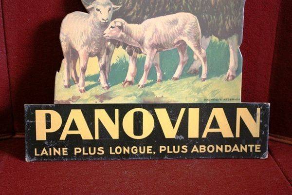  Panovian Sheep Advertising Cut Out Card Arriving Nov