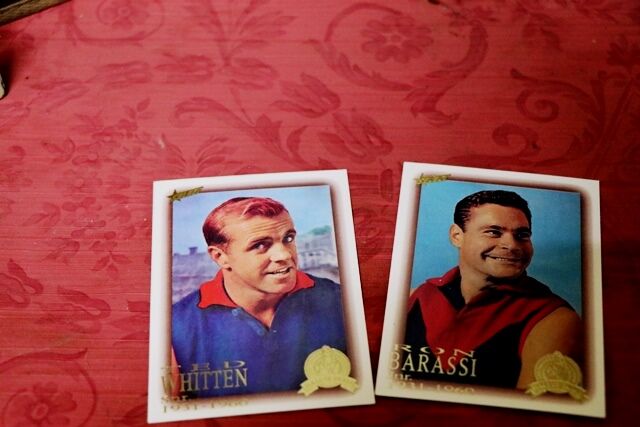 AFL Select 1996 Hall of Fame Series 1 complete set 110 cards