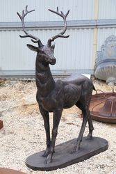 Life size Cast Iron Deer