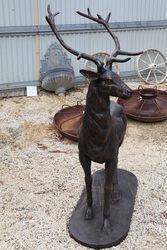 Life size Cast Iron Deer