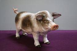 19th Century German Porcelain Wild Boar Bavaria  C1880 