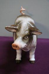 19th Century German Porcelain Wild Boar Bavaria  C1880 