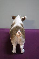 19th Century German Porcelain Wild Boar Bavaria  C1880 