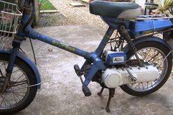 ARRIVING SOON 1979 Honda Express NC50