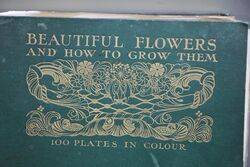 Antique Books Beautiful Flowers and how to Grow Them  
