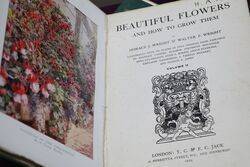 Antique Books Beautiful Flowers and how to Grow Them  