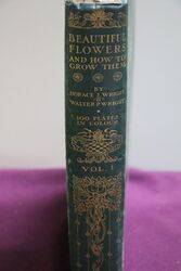 Antique Books Beautiful Flowers and how to Grow Them  