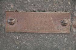 Antique Iron Scale