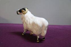 Beswick Black Face Ram No 3071 