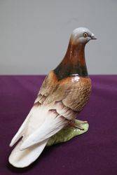 Beswick Pigeon  