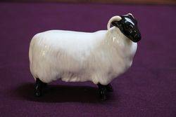 Beswick Sheep 