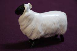 Beswick Sheep 