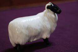 Beswick Sheep 