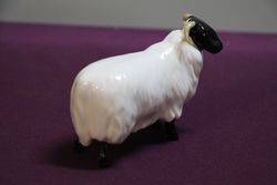 Beswick Sheep 