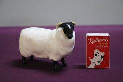 Beswick Sheep 