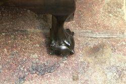 Early C20th 2 Door Display Cabinet English C1920