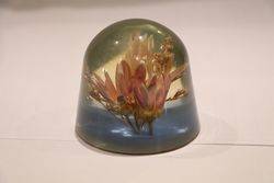Floral Glass Paperweight  