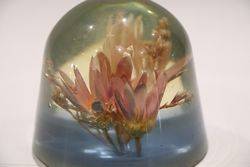 Floral Glass Paperweight  