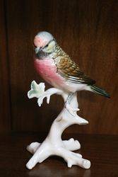 Karl Ens German Porcelain Bird Figure 