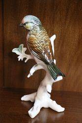 Karl Ens German Porcelain Bird Figure 