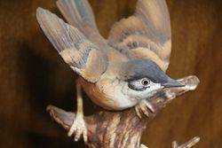 Kowa Porcelain Whitethroat