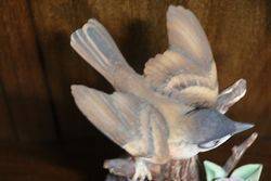 Kowa Porcelain Whitethroat