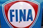 Large Fina Petrols Enamel Advertising Sign 