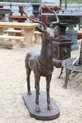 Life size Cast Iron Deer