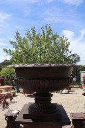 Massive Toulouse Cast Iron Urn And Base