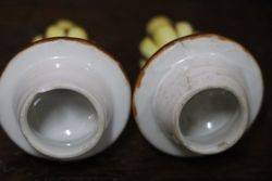 Pair Of Late 19th Century Porcelain Covered Vases Austrians C1900