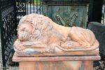 Pair of Large Tiger Eye Marble Sleeping Lions on Stands