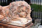 Pair of Large Tiger Eye Marble Sleeping Lions on Stands