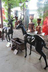 Pair of Quality Bronze Deer Garden Figures