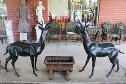 Pair of Quality Bronze Deer Garden Figures