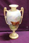 Rare Royal Worcester  By Harry Stinton C1910