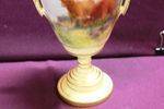 Rare Royal Worcester  By Harry Stinton C1910