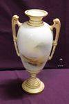 Rare Royal Worcester  By Harry Stinton C1910