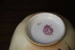 Royal Worcester Bowl C1903  