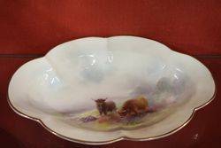 Royal Worcester Oviform Shaped Bowl