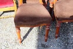 Set Of 14 Balloon Back Dining Chairs