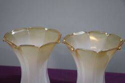Set Of  Vintage Glass Lamp Shades  