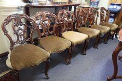 Superb set of  6 Antique Cab Leg Walnut Chairs