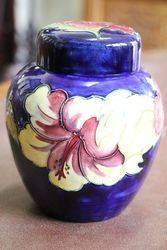 Walter Moorcroft Hibiscus Design Ginger Jar C1949 78