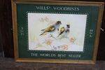 Wills Woodbine Framed Shop Display Card