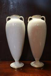 Wonderful Late Victorian Pair Of  Vases 